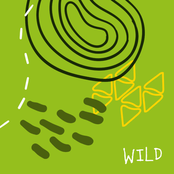 Gama de color wild