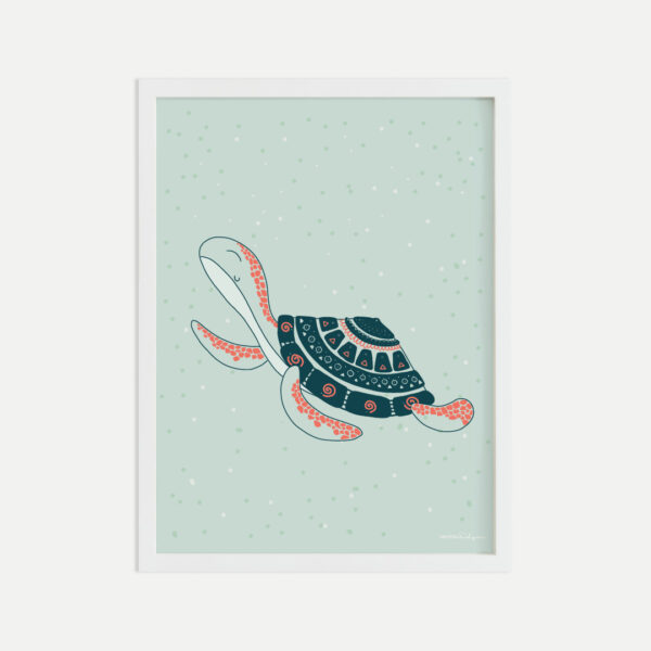 Set tortuga Jaimi - Imagen 2